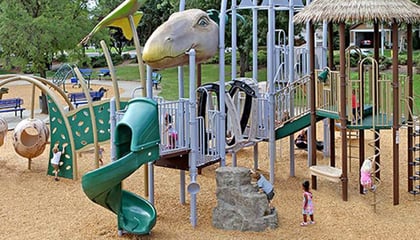 Dinosaur Themed Playground